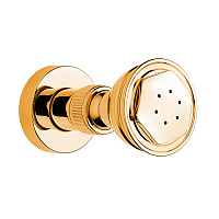 Nicolazzi Doccia Форсунка боковая, цвет: золото