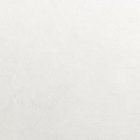 AURORA-1600-2A-SC-PB-P-L